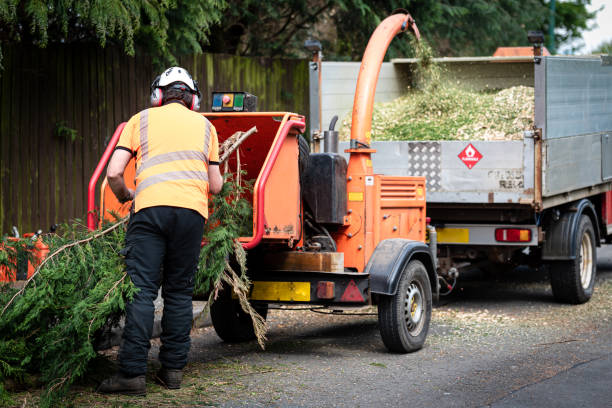 Best Stump Grinding Near Me  in Combe, LA